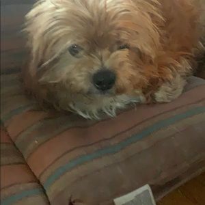 Meet your Posher, Karl